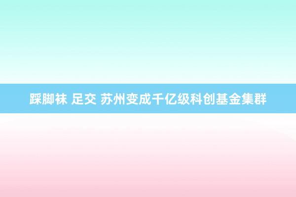 踩脚袜 足交 苏州变成千亿级科创基金集群