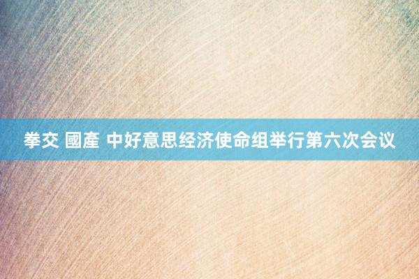 拳交 國產 中好意思经济使命组举行第六次会议