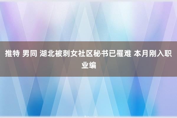 推特 男同 湖北被刺女社区秘书已罹难 本月刚入职业编