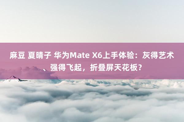 麻豆 夏晴子 华为Mate X6上手体验：灰得艺术、强得飞起，折叠屏天花板？