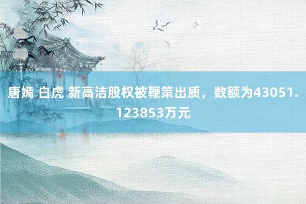 唐嫣 白虎 新高洁股权被鞭策出质，数额为43051.123853万元