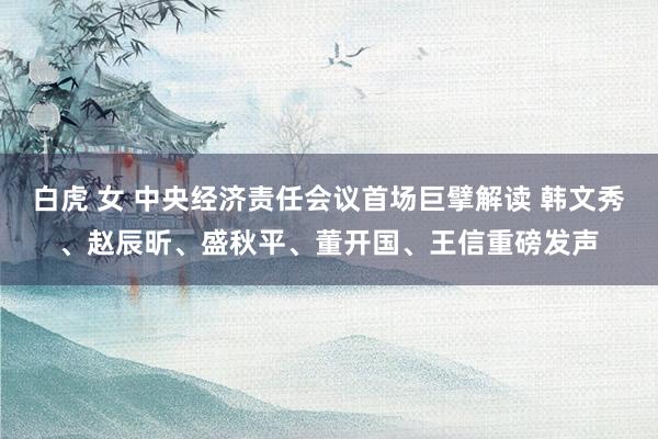 白虎 女 中央经济责任会议首场巨擘解读 韩文秀、赵辰昕、盛秋平、董开国、王信重磅发声