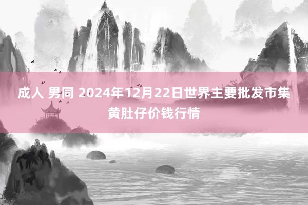 成人 男同 2024年12月22日世界主要批发市集黄肚仔价钱行情