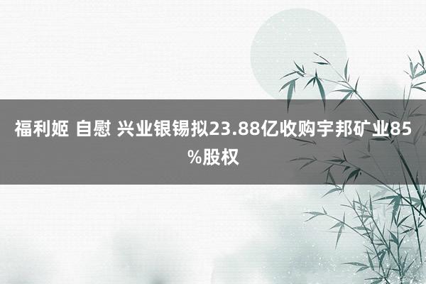 福利姬 自慰 兴业银锡拟23.88亿收购宇邦矿业85%股权