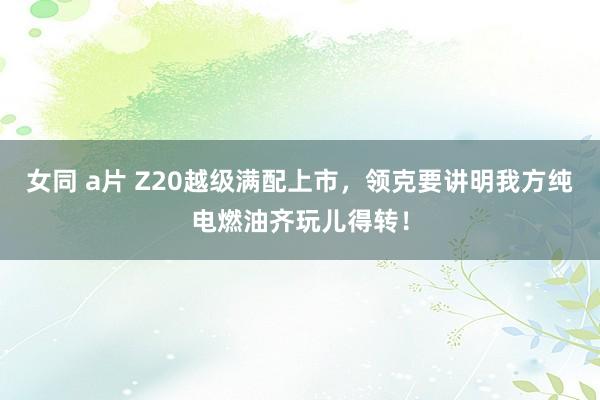 女同 a片 Z20越级满配上市，领克要讲明我方纯电燃油齐玩儿得转！