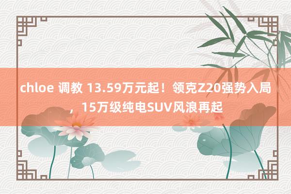 chloe 调教 13.59万元起！领克Z20强势入局，15万级纯电SUV风浪再起