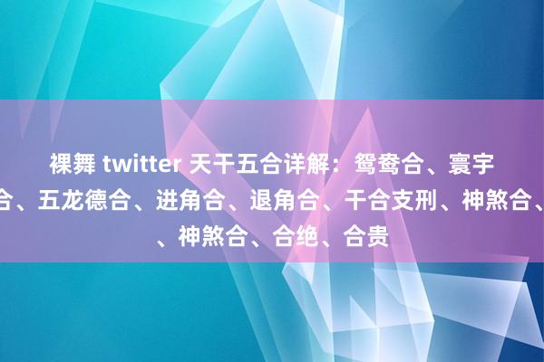 裸舞 twitter 天干五合详解：鸳鸯合、寰宇德合、灾祸合、五龙德合、进角合、退角合、干合支刑、神煞合、合绝、合贵
