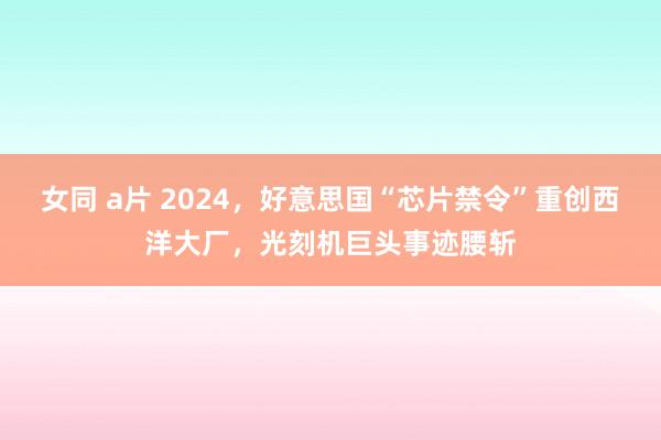 女同 a片 2024，好意思国“芯片禁令”重创西洋大厂，光刻机巨头事迹腰斩
