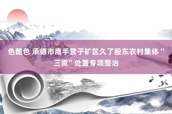 色酷色 承德市鹰手营子矿区久了股东农村集体“三资”处置专项整治