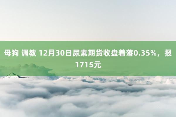 母狗 调教 12月30日尿素期货收盘着落0.35%，报1715元