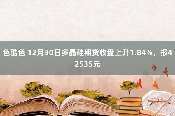 色酷色 12月30日多晶硅期货收盘上升1.84%，报42535元