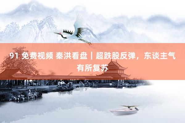 91 免费视频 秦洪看盘｜超跌股反弹，东谈主气有所复苏