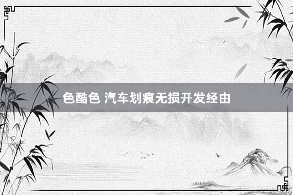 色酷色 汽车划痕无损开发经由