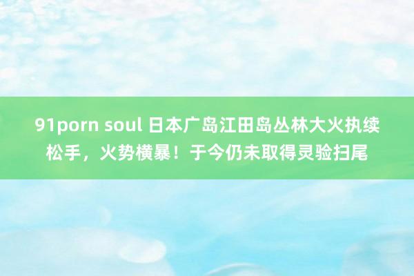 91porn soul 日本广岛江田岛丛林大火执续松手，火势横暴！于今仍未取得灵验扫尾