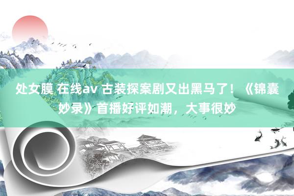 处女膜 在线av 古装探案剧又出黑马了！《锦囊妙录》首播好评如潮，大事很妙