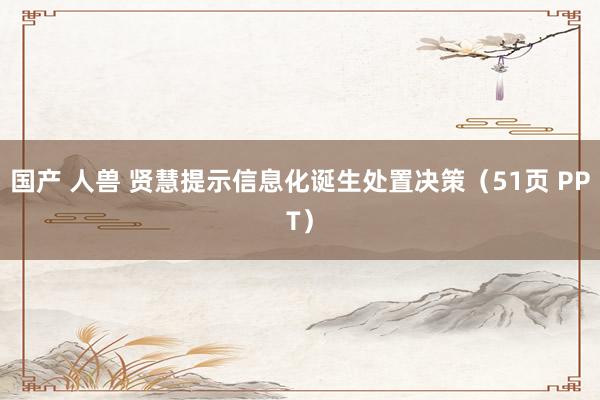 国产 人兽 贤慧提示信息化诞生处置决策（51页 PPT）
