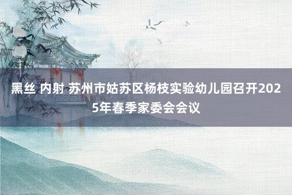 黑丝 内射 苏州市姑苏区杨枝实验幼儿园召开2025年春季家委会会议