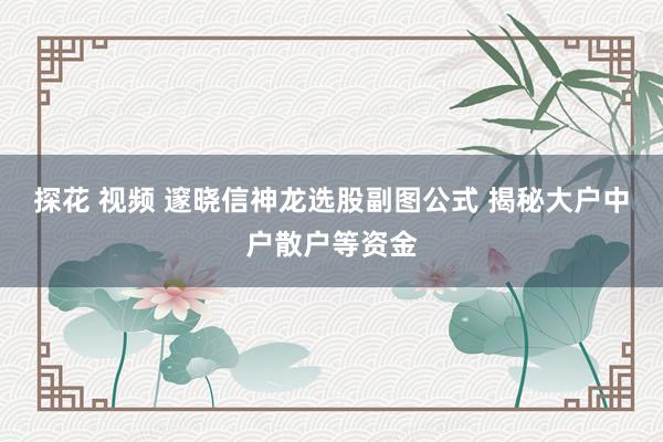 探花 视频 邃晓信神龙选股副图公式 揭秘大户中户散户等资金