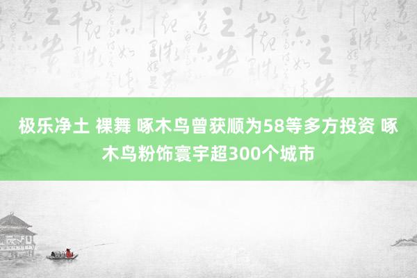 极乐净土 裸舞 啄木鸟曾获顺为58等多方投资 啄木鸟粉饰寰宇超300个城市