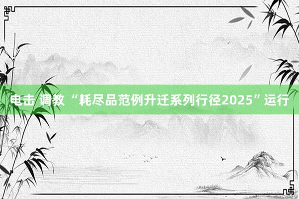 电击 调教 “耗尽品范例升迁系列行径2025”运行