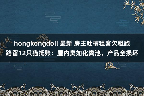hongkongdoll 最新 房主吐槽租客欠租跑路留12只猫抵账：屋内臭如化粪池，产品全损坏