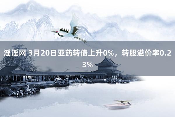 淫淫网 3月20日亚药转债上升0%，转股溢价率0.23%