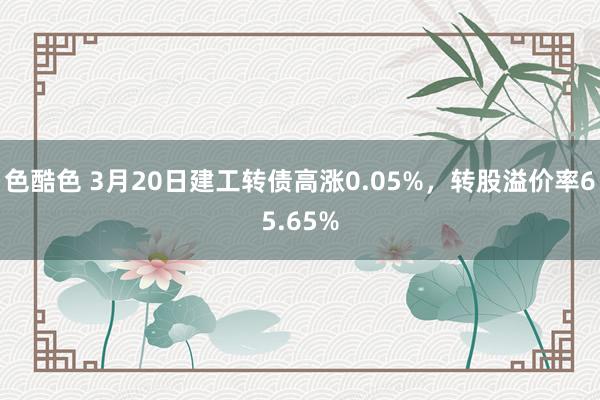色酷色 3月20日建工转债高涨0.05%，转股溢价率65.65%