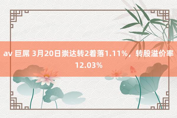 av 巨屌 3月20日崇达转2着落1.11%，转股溢价率12.03%