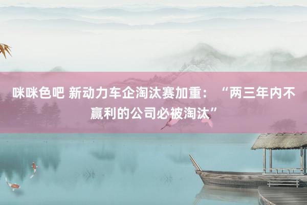 咪咪色吧 新动力车企淘汰赛加重： “两三年内不赢利的公司必被淘汰”