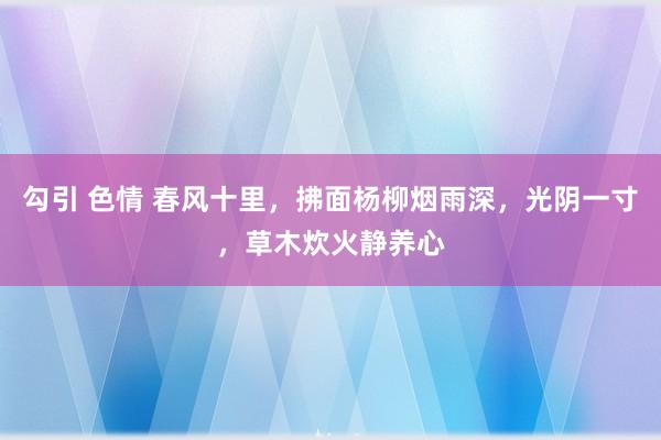 勾引 色情 春风十里，拂面杨柳烟雨深，光阴一寸，草木炊火静养心
