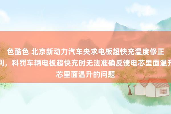 色酷色 北京新动力汽车央求电板超快充温度修正措施专利，科罚车辆电板超快充时无法准确反馈电芯里面温升的问题