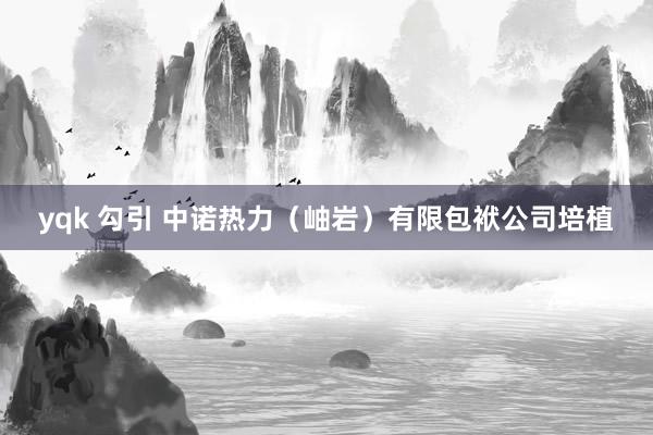 yqk 勾引 中诺热力（岫岩）有限包袱公司培植