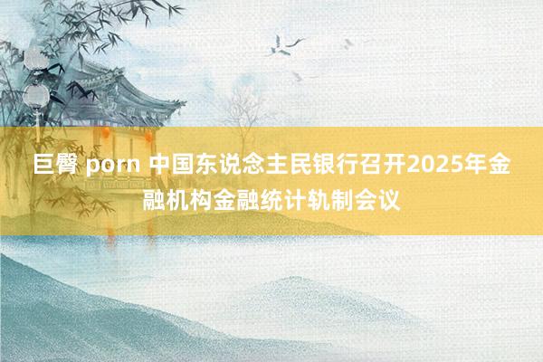 巨臀 porn 中国东说念主民银行召开2025年金融机构金融统计轨制会议
