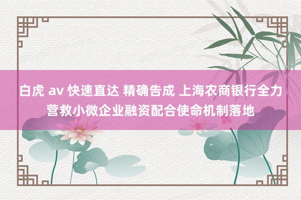 白虎 av 快速直达 精确告成 上海农商银行全力营救小微企业融资配合使命机制落地