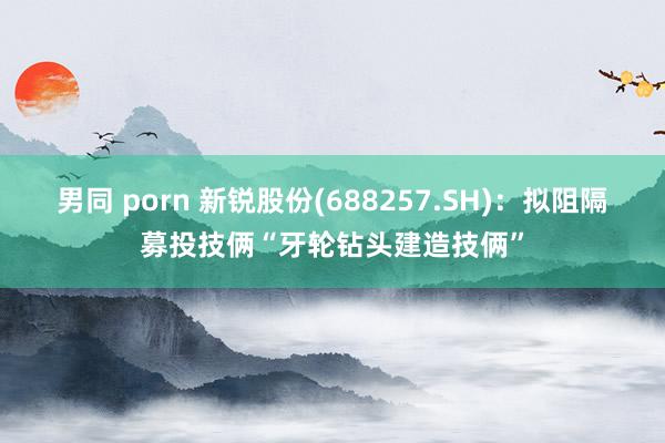 男同 porn 新锐股份(688257.SH)：拟阻隔募投技俩“牙轮钻头建造技俩”
