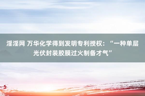 淫淫网 万华化学得到发明专利授权：“一种单层光伏封装胶膜过火制备才气”