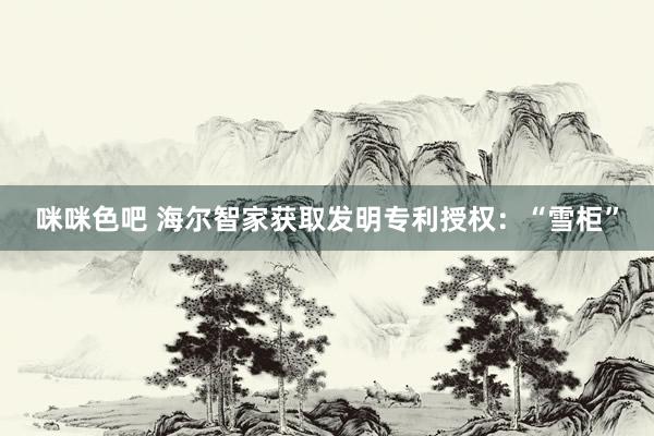 咪咪色吧 海尔智家获取发明专利授权：“雪柜”
