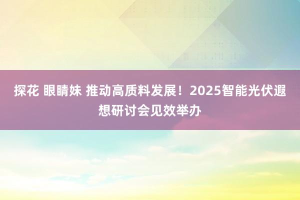 探花 眼睛妹 推动高质料发展！2025智能光伏遐想研讨会见效举办