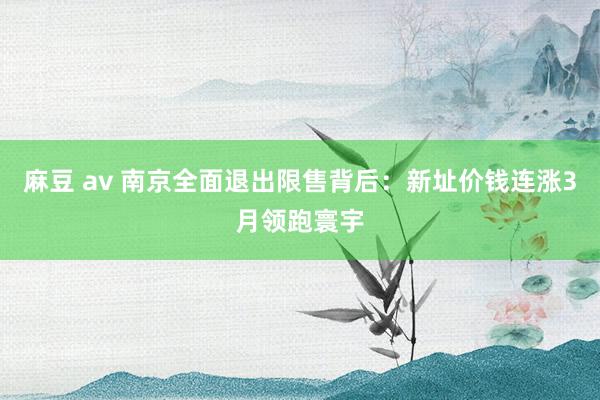 麻豆 av 南京全面退出限售背后：新址价钱连涨3月领跑寰宇