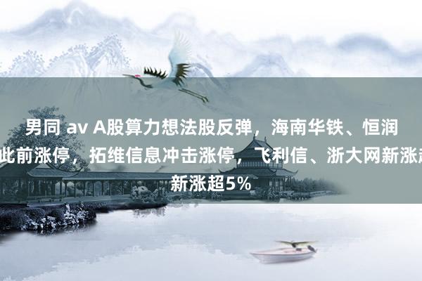 男同 av A股算力想法股反弹，海南华铁、恒润股份此前涨停，拓维信息冲击涨停，飞利信、浙大网新涨超5%