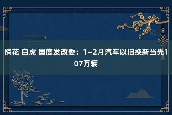 探花 白虎 国度发改委：1—2月汽车以旧换新当先107万辆