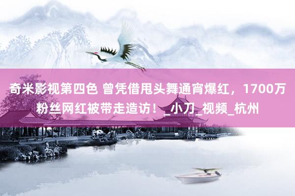 奇米影视第四色 曾凭借甩头舞通宵爆红，1700万粉丝网红被带走造访！_小刀_视频_杭州