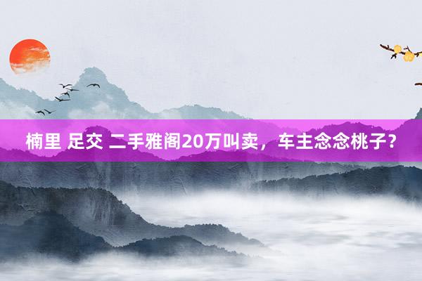 楠里 足交 二手雅阁20万叫卖，车主念念桃子？