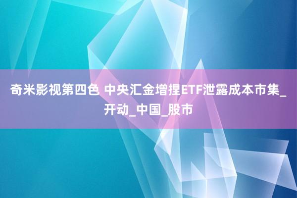 奇米影视第四色 中央汇金增捏ETF泄露成本市集_开动_中国_股市