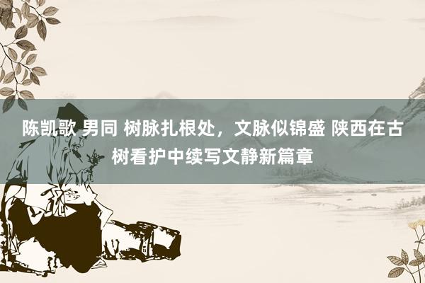 陈凯歌 男同 树脉扎根处，文脉似锦盛 陕西在古树看护中续写文静新篇章