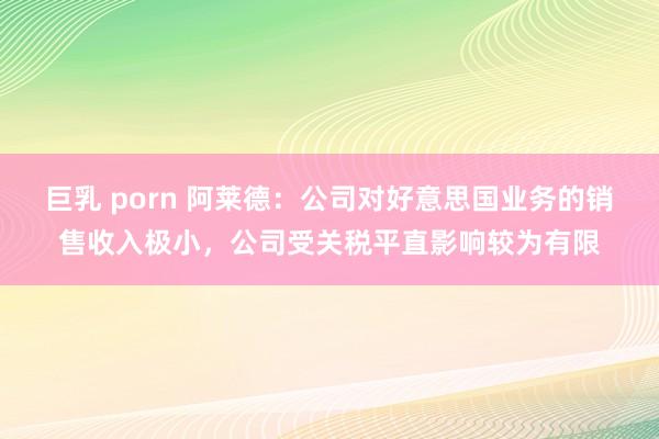 巨乳 porn 阿莱德：公司对好意思国业务的销售收入极小，公司受关税平直影响较为有限
