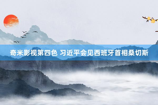 奇米影视第四色 习近平会见西班牙首相桑切斯