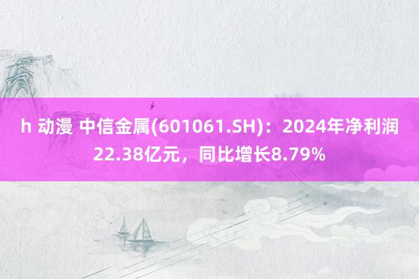 h 动漫 中信金属(601061.SH)：2024年净利润22.38亿元，同比增长8.79%