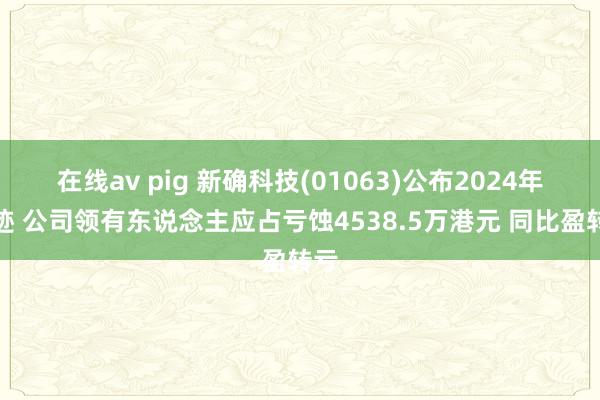 在线av pig 新确科技(01063)公布2024年龄迹 公司领有东说念主应占亏蚀4538.5万港元 同比盈转亏