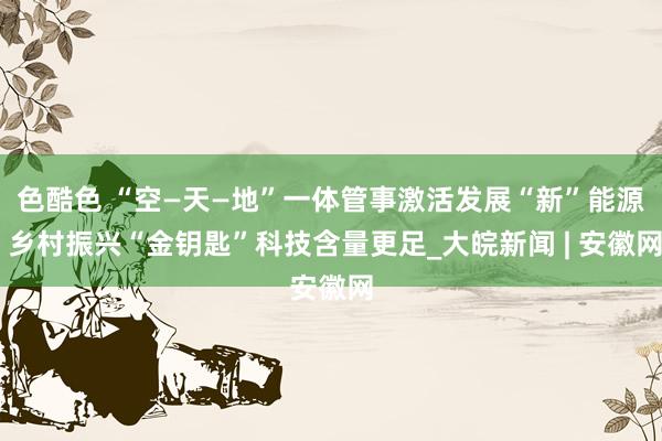 色酷色 “空—天—地”一体管事激活发展“新”能源 乡村振兴“金钥匙”科技含量更足_大皖新闻 | 安徽网